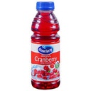 OCEAN SPRAY CRANBERRY JUICE 15.2 OZ