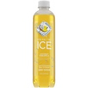 Sparkling Ice Coconut Pineapple 17 OZ