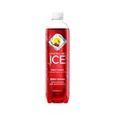 Sparkling Ice fruit punch 17 OZ BOTTLE