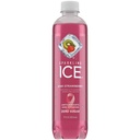  Sparkling Ice KIWI STRAWBERRY 17oz Plastic Bottle