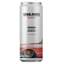 gin and juice 355ml can melon
