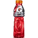 GATORADE REHYDRATION SABOR PONCHE DE FRUTAS DRINK 600ML
